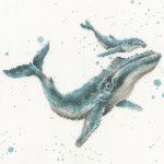 Marine Blue (image for) Marine Blue